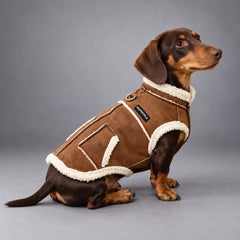Faux Suede Sherpa Dog Coat