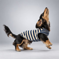 Soft Lyocell Striped Dog Shirt