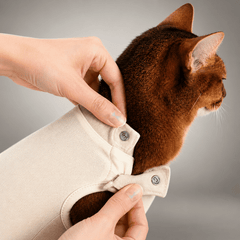 Comfort Recovery Suit for Cats