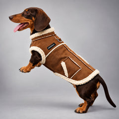 Faux Suede Sherpa Dog Coat
