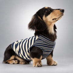 Soft Lyocell Striped Dog Shirt