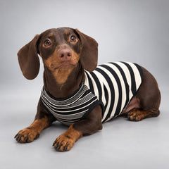 Soft Lyocell Striped Dog Shirt