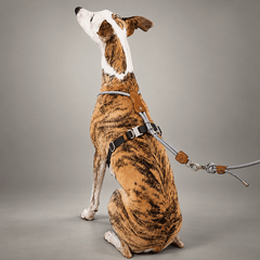 Sighthound Escape-Resistant Leather Rope Dog Harness & Leash Set