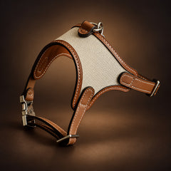 SAGE ÉTOUPE Handcrafted Leather & Woven Dog Harness
