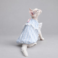 Light Blue Lace Cat Dress