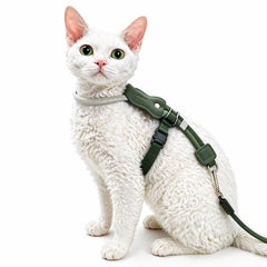 Ausbruchsicheres Katzengeschirr und Leine Set, Verstellbares weiches Katzenweste-Geschirr zum Spazierengehen, Atmungsaktives leichtes Kätzchengeschirr mit Leine