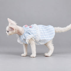 Light Blue Lace Cat Dress
