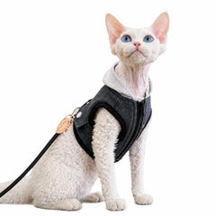 Sphynx-Katzengeschirr und Leinen-Set, hautfreundliches Denim-Westengeschirr für haarlose Katzen, leicht anzuziehendes Hoodie-Katzengeschirr mit integrierter Leine