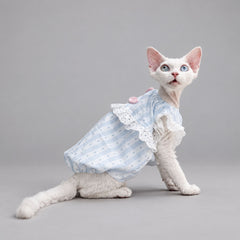 Light Blue Lace Cat Dress