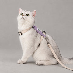 AirLite Colorblock Cat Harness & Leash Set