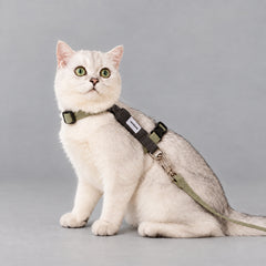 AirLite Colorblock Cat Harness & Leash Set