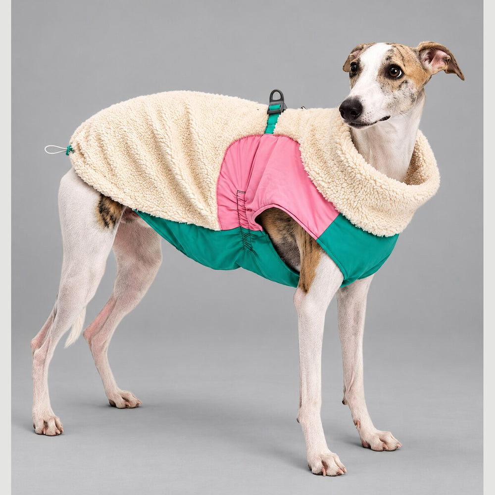 Dog wearing the Cream Beige Alpine colorblock sherpa jacket, standing in side view.