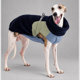 Dog wearing the Deep Navy Alpine colorblock sherpa jacket, standing in side view.