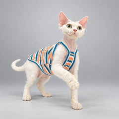 Cat wearing the Apricot Stripe cami, standing in front view.