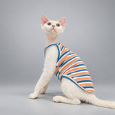 Cat wearing the Apricot Stripe cami, seated in side view.