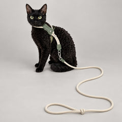The Arden Adjustable Cat Harness & Leash Set
