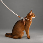Conjunto de arnés y correa para gatos Atelier Rope