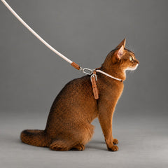 Atelier Rope Cat Harness & Leash Set