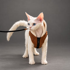 Sphynx-Katzengeschirr und Leinen-Set, hautfreundliches Denim-Westengeschirr für haarlose Katzen, leicht anzuziehendes Hoodie-Katzengeschirr mit integrierter Leine