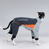 Rear side view of the slate blue and orange sighthound snowsuit, showing the contrast panels and hind-leg coverage.