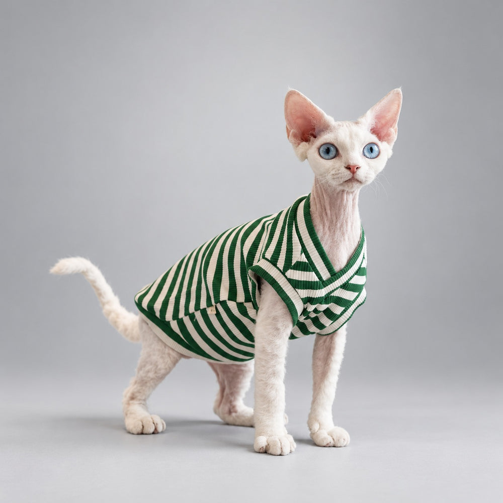 Cat wearing the Forest Green Forest Stripe V-neck vest, standing in side view.