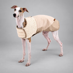 Dog wearing the Cream Beige Heritage sherpa coat, standing in side view.