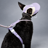 Conjunto ligero de gorro y arnés de cuerda Atelier Shade para gatos