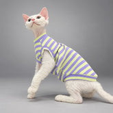 Cat wearing the Lavender & Lime vest, seated in side view.