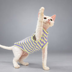 Cat standing on its hind legs in the Lavender & Lime striped vest.