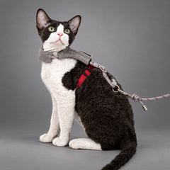 Mellow Corduroy Cat Harness Set