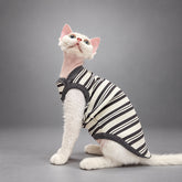 Cat wearing the Black & Ivory Stripe Monochrome Ease vest, seated in side view.