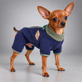 Teddy Fleece Dog Jumpsuit