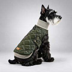 Seated Schnauzer showing the olive heritage-style dog vest, diamond quilting and side snap tabs.