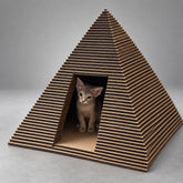 Kitten sitting inside the entrance of a stepped corrugated cardboard pyramid cat house.