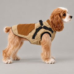 Dog wearing the Beige quilted harness coat, shown from the side with corduroy panels and black harness straps.