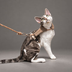 Mellow Corduroy Cat Harness Set