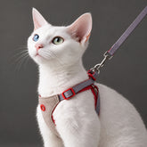El arnés y correa para gatos Sora Soft-Fit