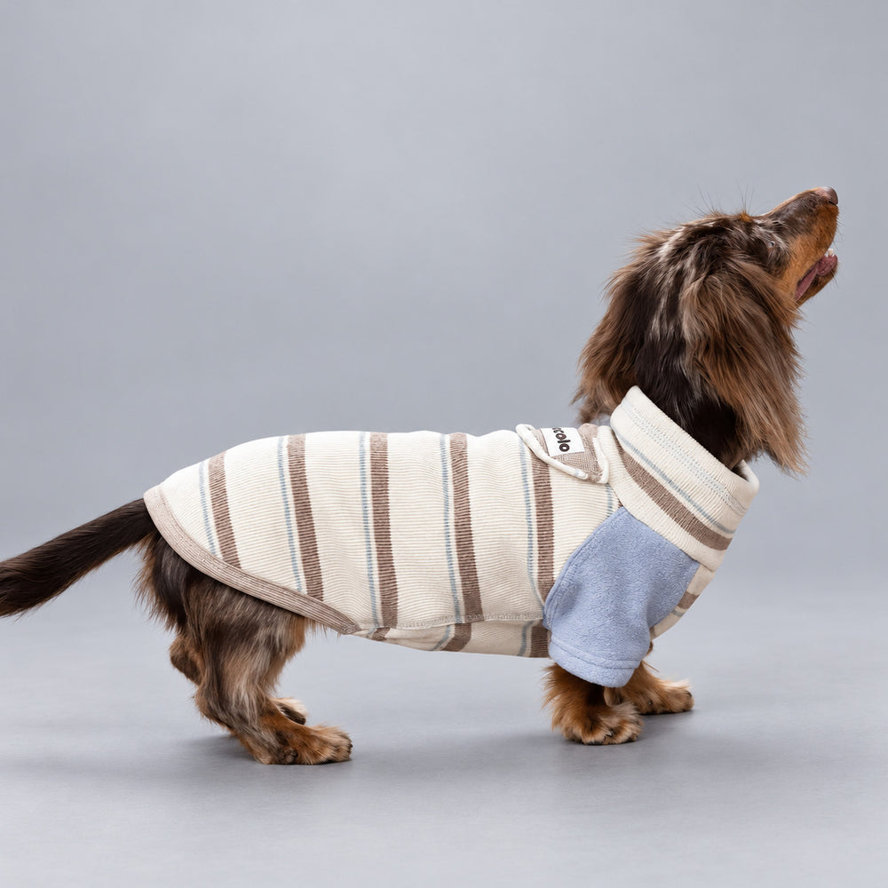 Dog wearing the Nordic Blue striped fleece sweater, standing in side view.
