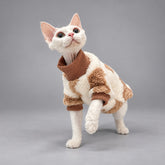 Cat wearing the Cream & Caramel Teddy Cozy fleece pajamas with one front paw raised.