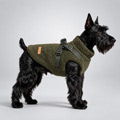 Black dog wearing the Deep Green teddy fleece vest with a leash attached to the harness.