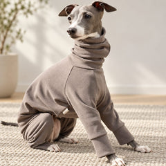 Italian Greyhound seated indoors wearing the taupe stretchy thermal onesie.