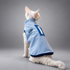 Cat wearing the Nordic Blue waffle fleece vest, seated in rear view.