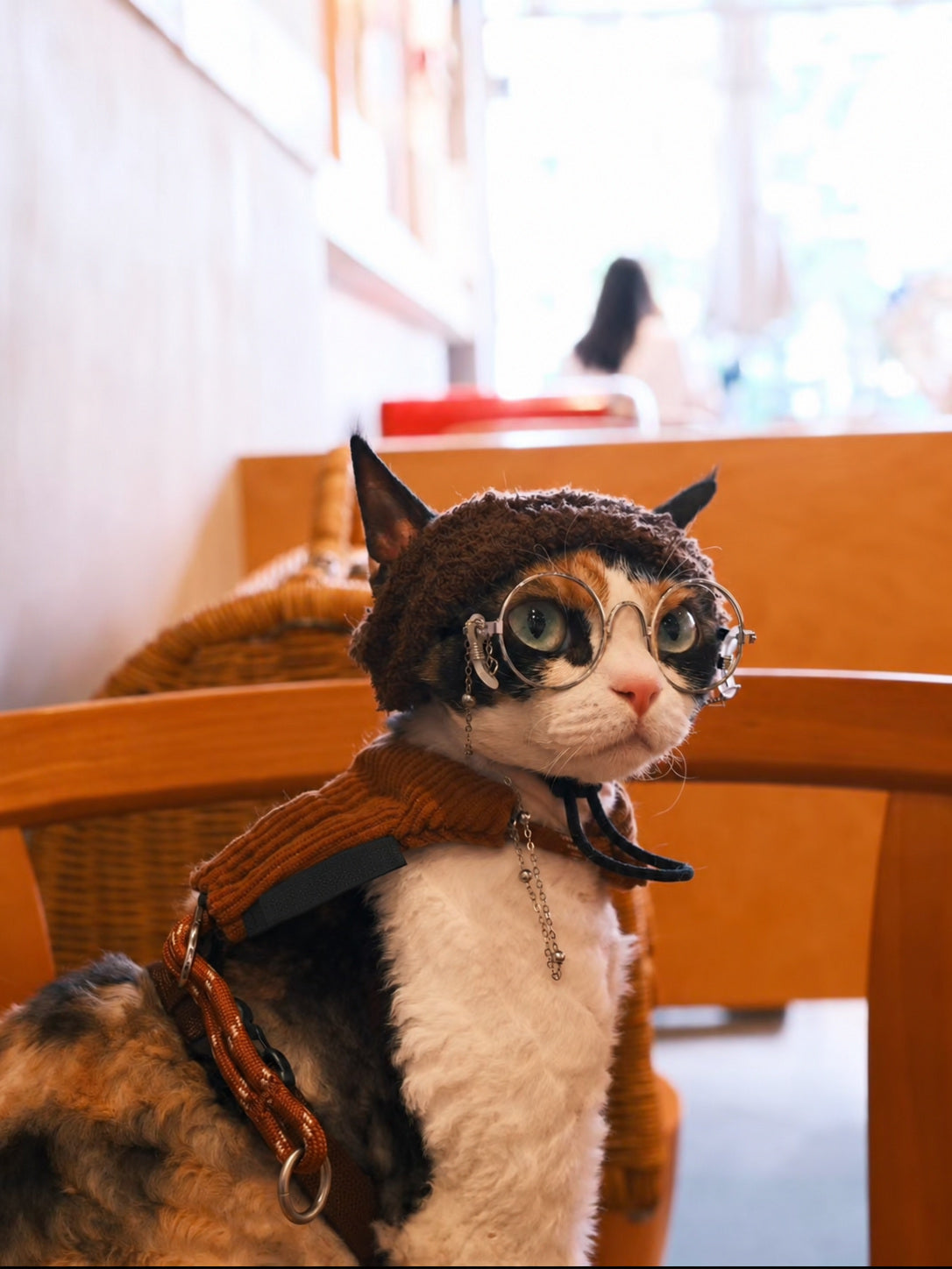 Calico cat wearing glasses, a knitted hat and a brown corduroy harness in a café.