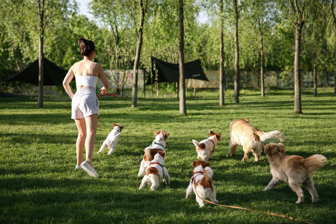 The Ultimate Outdoor Pet Kit – Everything You Need for Adventures with Your Dog
