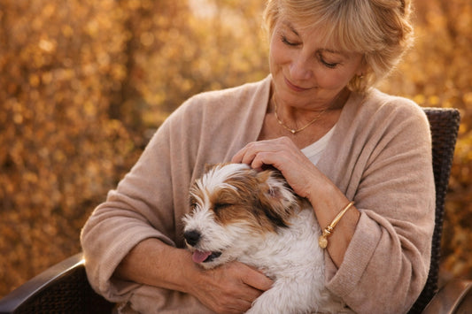Helping Your Dog Age Gracefully – Red Light Therapy, Physiotherapy & Senior Dog Care for IVDD, Arthritis & More