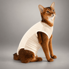 Comfort Recovery Suit for Cats