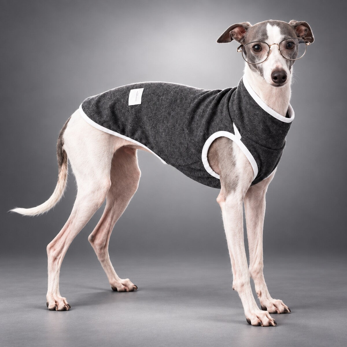 Cashmere & Mulberry Silk Pet Warmth Vest