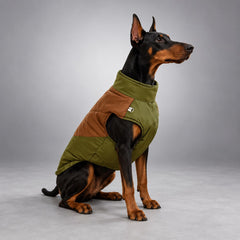 Quilted Dog Vest with Back Zip & Leash Rings