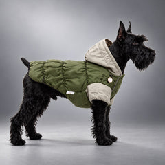 Color-Block Hooded Fleece-Lined Dog Puffer Jacket