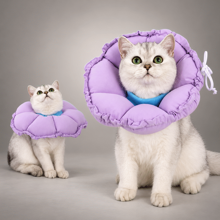 Adjustable Soft Flower Cat Recovery Collar